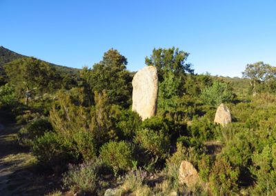 menhirs-de-la-murtra-san-clement